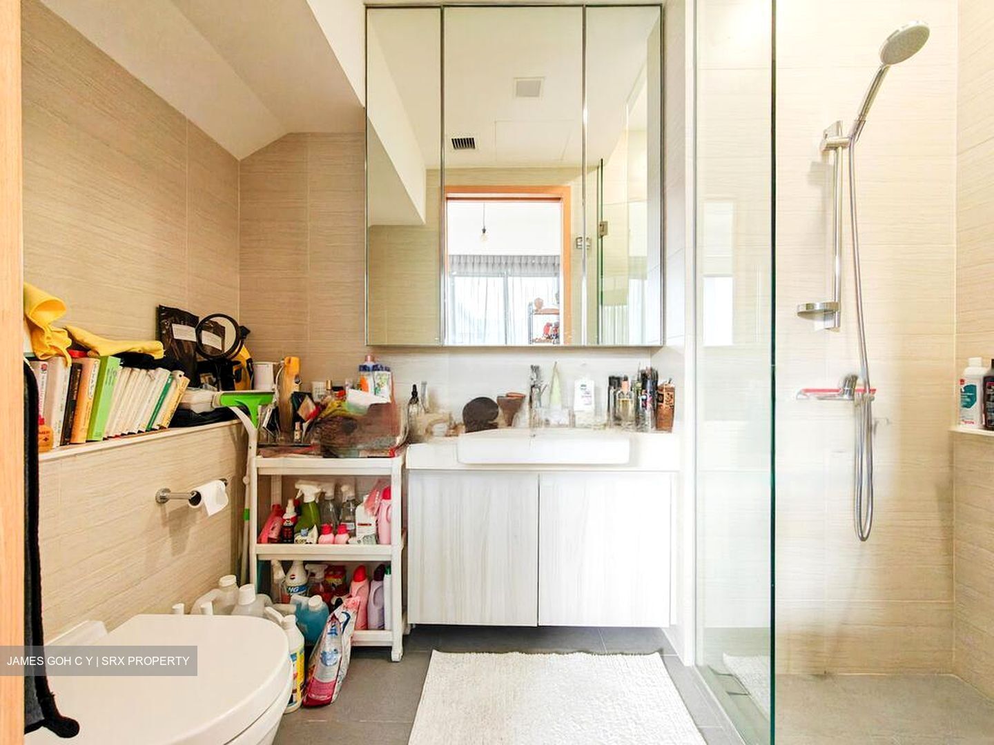 Seventy Saint Patrick's (D15), Condominium #473359961